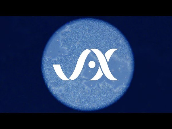 "MorPhiC: Cellular modeling at scale" - JAX speak about their role in the MorPhiC Consortium